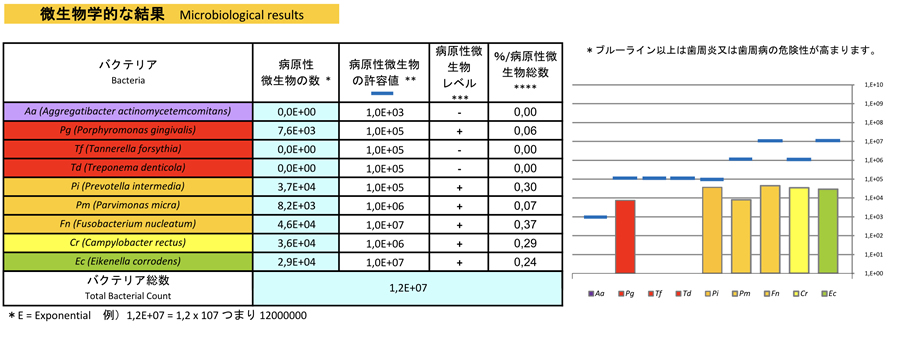 最高水準の美しい上部構造